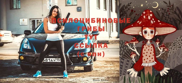 дурь Лабытнанги