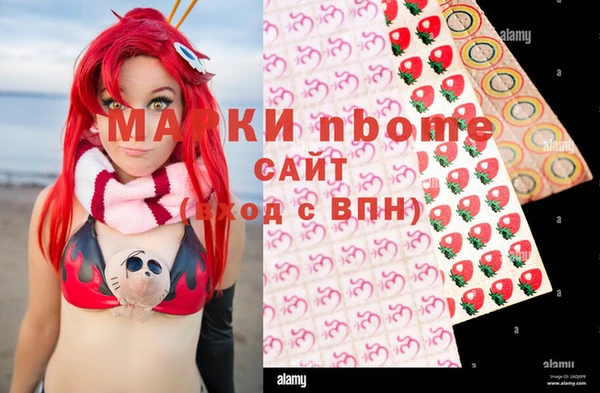 дурь Лабытнанги