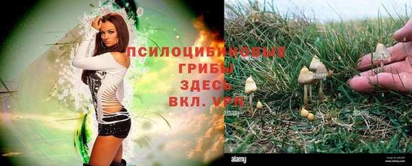 дурь Лабытнанги