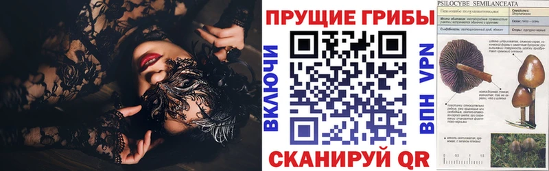 ссылка на мегу как зайти  Княгинино  Галлюциногенные грибы Magic Shrooms 